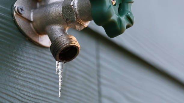 Best Local Plumber Services  in Blauvelt, NY